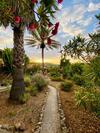 Apartamento Studio Sur In Son Macia Mallorca - Adults Only