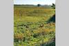 Maison Dans Ferme/nature/calme/authentique/animaux