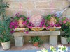Agroturismo L'uliveto