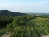 Agroturismo Agriturismo Cascina Colombaro