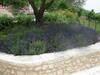 Bed & Breakfast Monti Del Sole