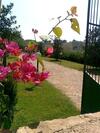 Bed & Breakfast Casale Degli Ulivi Prestige