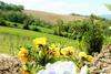 Agroturismo Agriturismo Il Podere