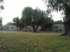 Agroturismo Agriturismo Salento Pietralata