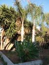 Bed & Breakfast La Zavirna