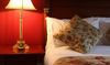 Racket Hall Country House Golf & Conference Hotel