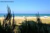 Apartamento Perla Plus Pineto Vacanza