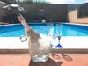 Santa Maria Villa Sleeps 8 Pool Air Con Wifi