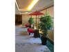 Hotel Grand Vert Gizan - Vacation Stay 95368