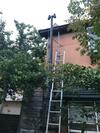 Hostal Shabby House