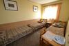 Hostal Hotel Welt