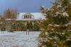 Villa St.moritz By Skokovo Park