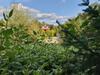 Apartamento Forest 5 Scandic By Skokovo Park