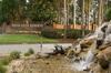 Have Fun Splendid Gold Pool Homes