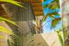 Hotel Bamboo Bonaire Boutique Resort