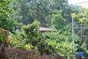 Hostal Olympos Caml?k Pension