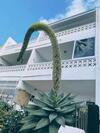 Apartamento Loft On The Beach Edificio Hoplaco Corralejo