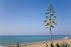Heaven Beach Apartments, Apt 402