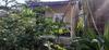 Hotel Tiger Tops Sauraha