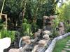 Agroturismo Caba�as de Madera Y Bungalows - Gilma�as 3
