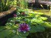 Agroturismo Caba�as de Madera Y Bungalows - Gilma�as 3