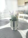 Apartamento La Paz Wifi Y Confort