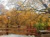 Agroturismo Cortijo Ram�n Petra Ll