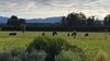 Villa Ohoka Country Retreat