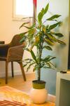 Bright Apartment Close To City Center
