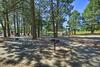 Contemporary Flagstaff Retreat With Ponderosas!