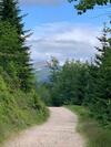 Villa ??astn� Kopec Vila ?. 56
