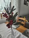 Apartament Rozeta