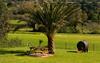 Apartamento Vega Rodiles El Valle