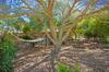 Villa Finca Son Roman�