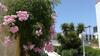Apartamento Tenerife Altamar Paradise