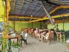 Hotel Dreams Of Palolem Beach Huts Goa