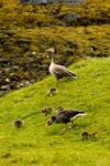 Lochinver Holiday Lodges & Cottages