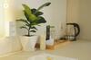 Hotel Ch�ch B�ng's House