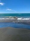 Urenui Beach Bach