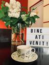 Hostal Pensiunea P?str?vul