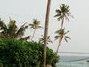 Summer House - Surf Inn