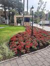 Apartamento Morada Herz 316
