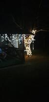 Hostal Casa Stely