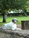 Hostal Ch�teau de Beauchamp- La Chapelle de Guinchay