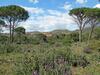Holiday Home Le Clos D'azur 1 - Lmo138