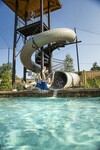 Hotel The Woodlands Resort