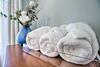 New! Renovated 2 Bed 2 Bath Apartment Downtown