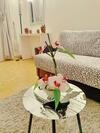 Apartamento Appartement Marseille Plage Stade Velodrome