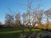 Apartamentos Appartement Seeve