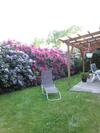 Apartamento Ferienwohnung Bredeh�ft